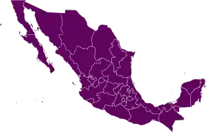 Consulta popular de México de 2021