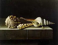 Bodegón con conchas, Adriaen Coorte, 1697