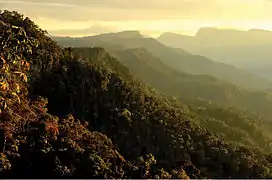 Parque Nacional Cordillera Azul