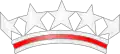 Coronel estrellado(Estados Unidos)