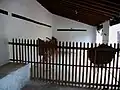 Cobertizo para las cabras.