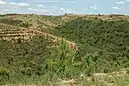 Corredor Ecológico del Río Guadiamar