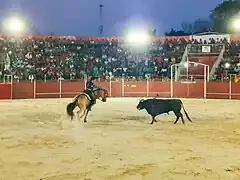 Corridas taurinas.