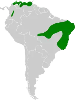 Distribución geográfica del soldadito capirotado.