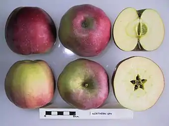 Comparativas de varias manzanas 'Northern Spy' en el nationalfruitcollection.org.uk/full2.php?varid=86&&acc=1927013&&fruit=apple .