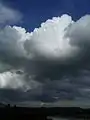 Cumulus mediocris