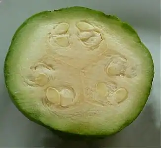 Fruto cosechado inmaduro.