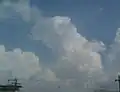 Cumulus congestus