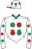 Horse racing silks