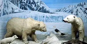 diorama