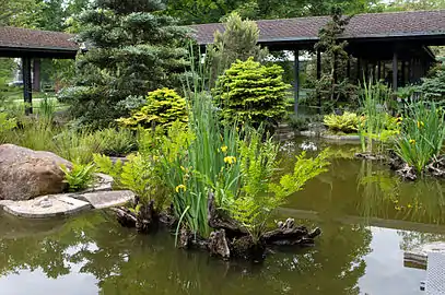 Delante de un pabellón japonés, Parc floral de Paris.