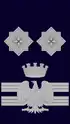 Divisa de dirigente generale