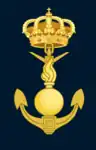 Ingeniería de Armas Navales