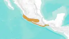 Distribución del colorín ventridorado
