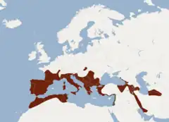 alt=     R. e. euryale
     R. e. judaicus