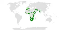Distribución de Trithemis kirbyi