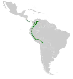 Distribución geográfica del colibrí picolanza mayor.