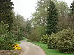Driveway leading to Berrington Hall