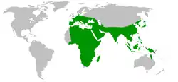 Distribución del género Dugesia según Sluys et al. 1998.