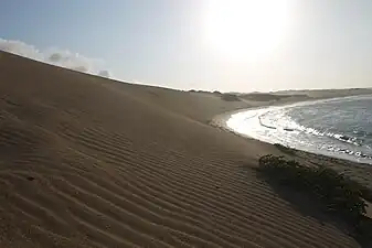 Dunas de Taroaal este de Bahía Portete