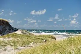 Dune du nord