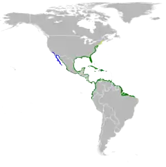      Nidificación      Invernada      Todo el año