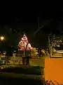 El parque y el árbol.