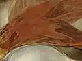 Detalle de La carga de los mamelucos (1814), donde pueden apreciarse las pinceladas de Francisco de Goya (pincelada abocetada, sin dibujo previo, rápida, pastosa).