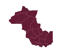 Elecciones provinciales de Jujuy de 1924