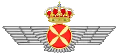 Piloto del Ejército del Aire