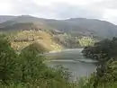 Negueira