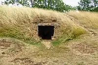 Cámara D