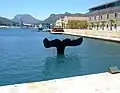 La Cola de Ballena.