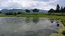 Estanho de Vielha