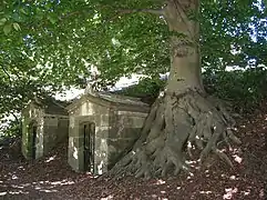 Haya europea y mausoleos.
