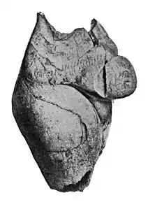 Venus de Brassempouy
