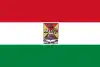 Bandera de Azogues