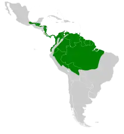 Distribución geográfica del colibrí nuquiblanco.