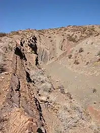 La Formación Agrio en las cercanías de la localidad de Pilmatué.