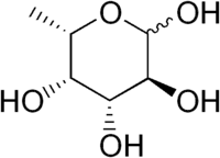 Idosa