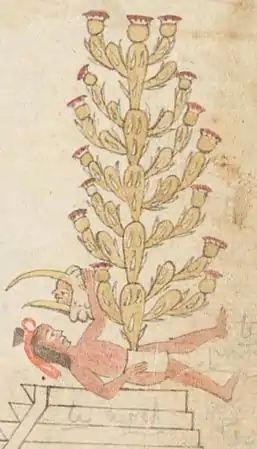 Fundación de Tenochtitlan en el códice Azcatitlan f.18, el nopal surge del príncipe Copil de acuerdo a Huitzilopochtli