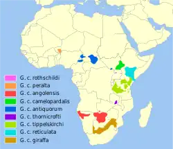 Distribución de la jirafa, dividida por subespecies.