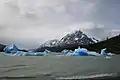 Icebergs con el glaciar al fondo.
