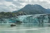 Glaciar Johns Hopkins,.