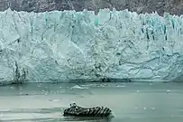 Glaciar Margerie.