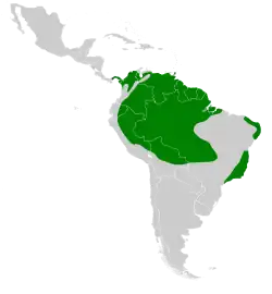 Distribución geográfica del ermitaño hirsuto.
