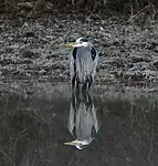 En Arkansas, EE. UU.