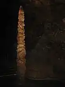 La Tour de Pise