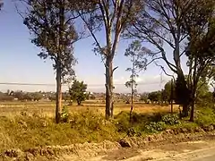 GuadalupeAcuitlapilco