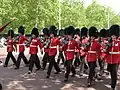 Marcha de la Guardia de Gales en el Mall camino al Palacio de Buckingham, Inglaterra.